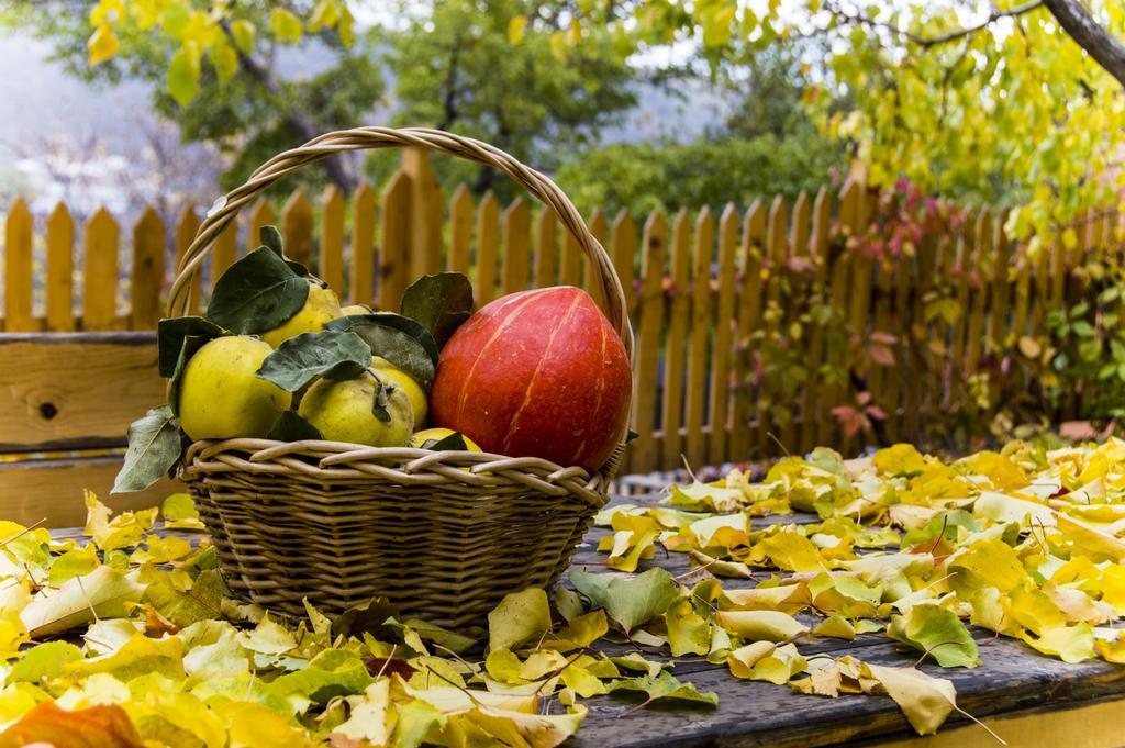 Hyelandz Eco Village Resort Geghadir 외부 사진
